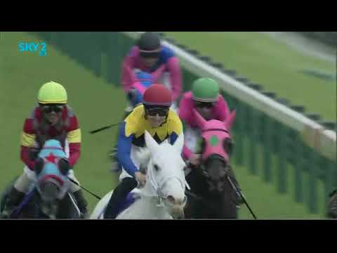 2022 JRA TOKYO The Victoria Mile