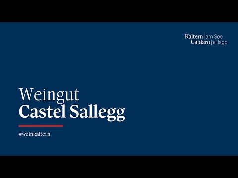Weingut Kaltern | Castel Sallegg