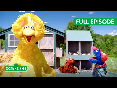 Let's Learn about Chickens and Geckos! | TWO Sesame Street Full Episodes