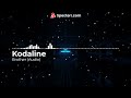 Kodaline-Brother (Official audio)