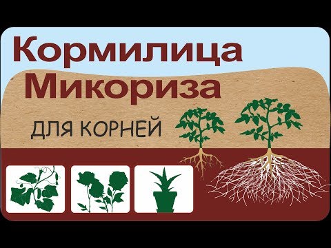Купить Кормилица Микориза "БашИнком" для корней 1 л в Онсад.ру с ...