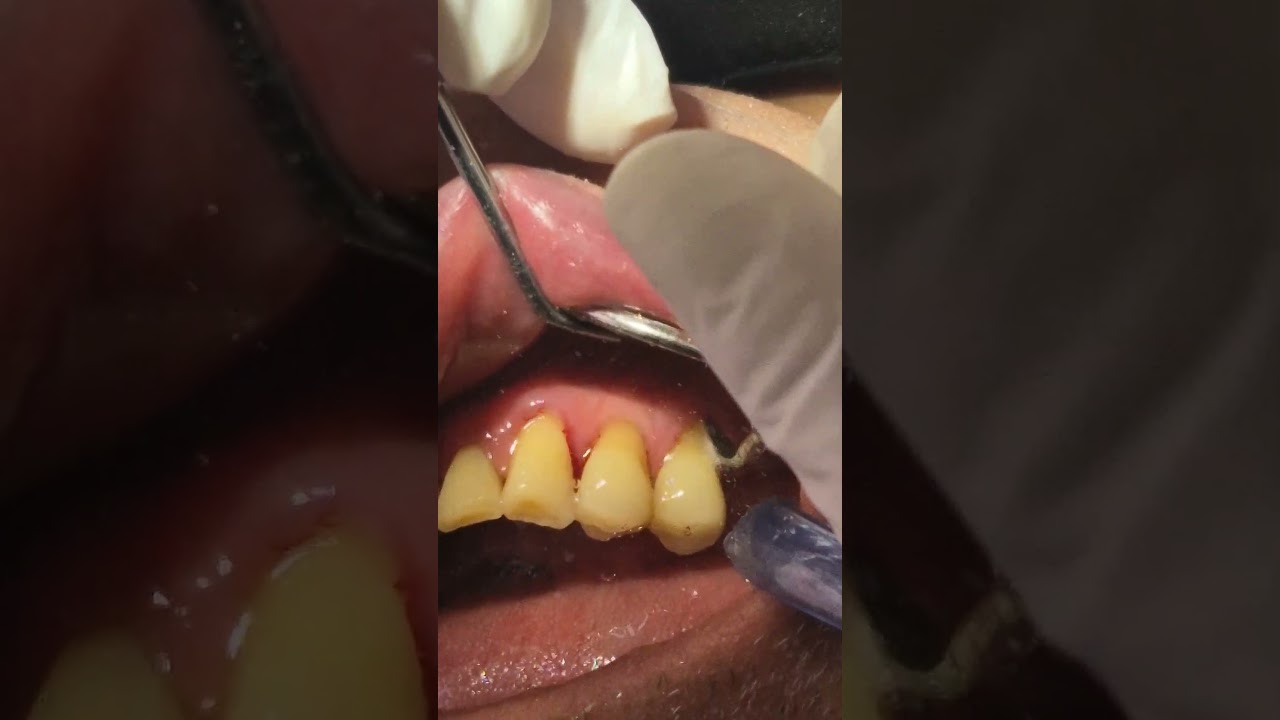 Jenny Paola Zuñiga Rojas-36