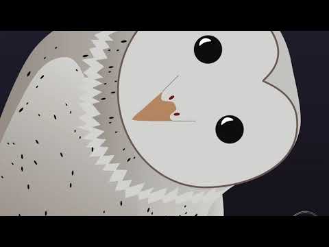 Martin Eyerer & Ackermann - Nightshifters