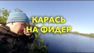 Где клюет карась в саранске