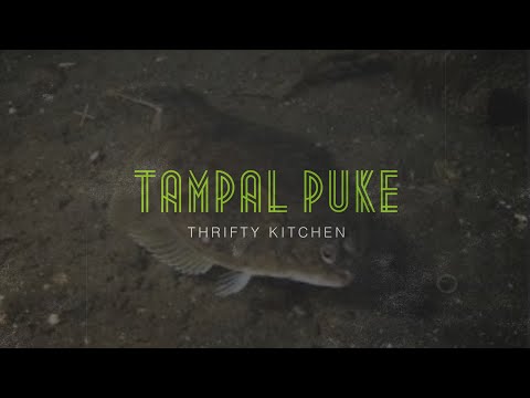 Tampal Puke fish: Malasa at masarap.