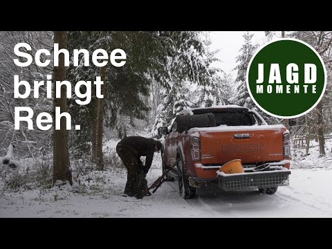 Schnee bringt Reh | JagdMomente