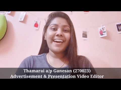 Team Production Product Review Chocodap's