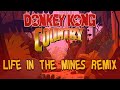 DONKEY KONG COUNTRY Life In The Mines Remix