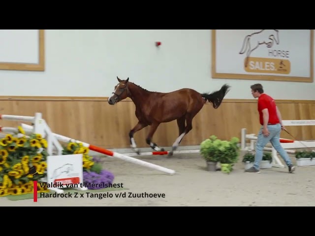 Waldik van't Merelsnest