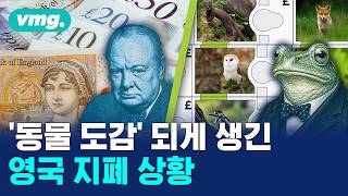 영국 지폐 주인공 과연 누가 될까? 처칠 VS 개구리 승자는? / 비디오머그 / 머그인사이트