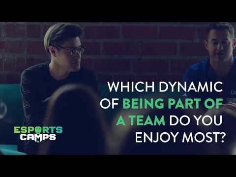 Esports Camps :: Interview with WildTurtle (Flyquest)