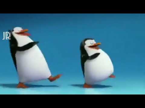 PINGUINS DANÇANDO MEME SWEATER WEATHER FORRÓ
