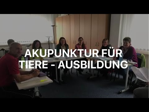 Akupunktur bei Tieren - Ausbildung in der Atropa Akademie Augsburg