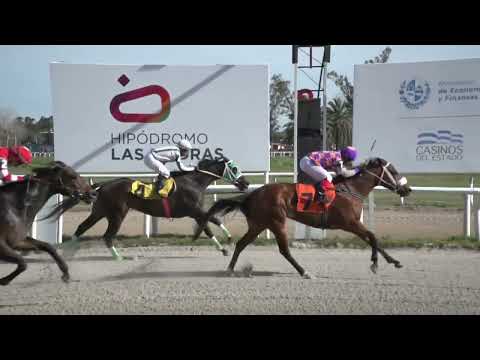 230915 C05 - KONDESA - HIPODROMO LAS PIEDRAS - PREFERENCIAL "CENTRO CAIF -LAS PIEDRAS-"