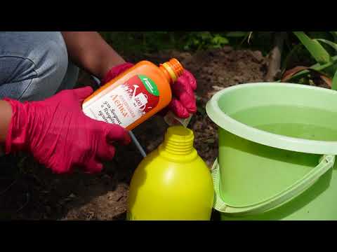 Миниатюра изображения товара Удобрение Буйские удобрения Волшебная Лейка для Ягодных и Плодрвых (0.5л)