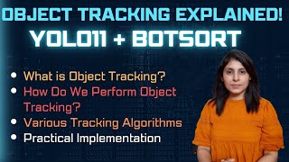 YOLO11 Object Tracking | People Tracking Using Byte Track and Bot SORT