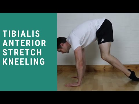 Tibialis Anterior Stretch Kneeling