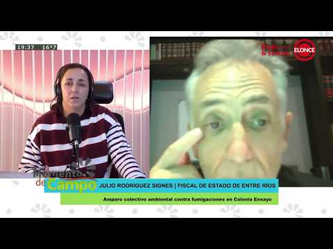 MOMENTO DE CAMPO - Amparo colectivo ambiental contra fumigaciones en Colonia Ensayo