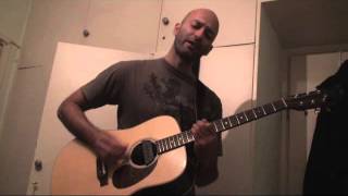 Michael Hedges - The Streamlined Man (cover)