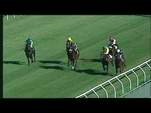 Napoli Galoppo 29/10/2022 - 2ª corsa