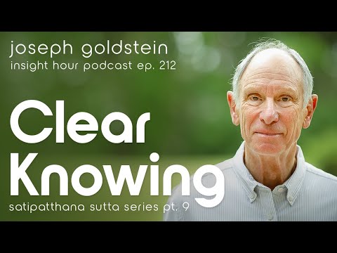 Joseph Goldstein: Clear Knowing -  Insight Hour Ep. 212 - Satipatthana Sutta Series Pt. 9