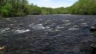 preview picture of video 'Watauga River in Elizabethton Tennessee'