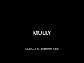 Molly - Lil Dicky ft. Brendon Urie (Clean) w/ lyrics
