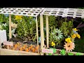 Mini Farm Mini Garden DIY How To Make Cow Shed Animals House