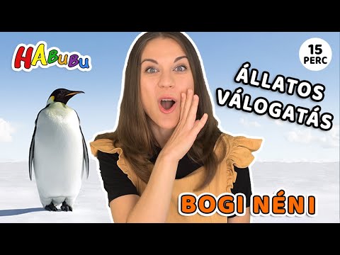 ÁLLATOK Válogatás I 34 Féle Állat és Állathang Egy Videóban I Bogi Néni Szókincsfejlesztő