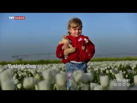 Konya'daki dev lale bahçesi büyüleyici renklere büründü.