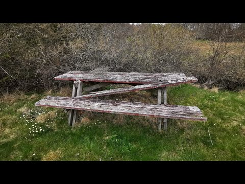 TORPRUINER och RASTPLATSEN som försvann -  PISKABACKEN mellan SÖRBY o GALTSJÖN 210502 - RONNEBY