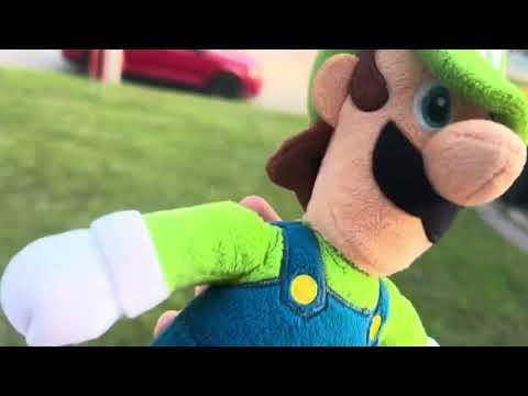 Luigi’s morning routine!