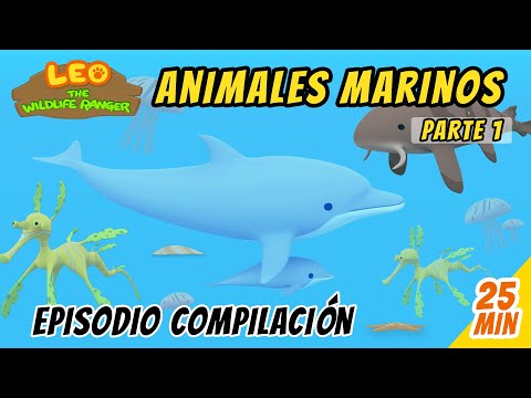 Animales Marinos Episodio Compilación [Parte 1/2] (Español) - Leo, El Explorador | Animación