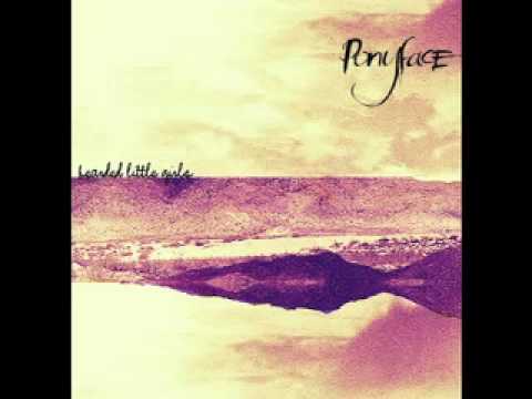 Pony Face - Sea and the Dunes