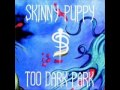 SKINNY PUPPY - Morpheus Laughing (triptamine ...