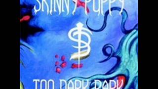 SKINNY PUPPY - Morpheus Laughing (triptamine revisitations 2002)
