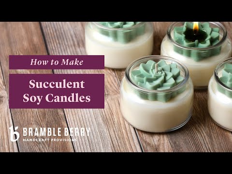 Succulent Candle Project