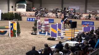 Video koně Baltik Sitte