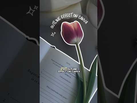 How to edit this outline effect on canva aesthetically🎀✨️ #edit #canva #outline #doodle #youtube