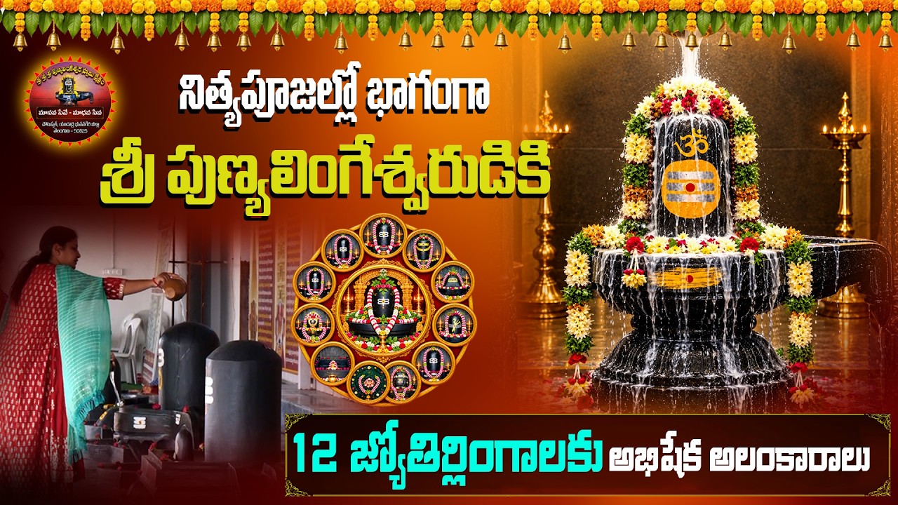 Sri Punyalingeswara Temple YouTube Live