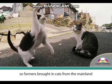 Excel 8 module 7 p80 ex1 Island Destinations with a Difference video ver