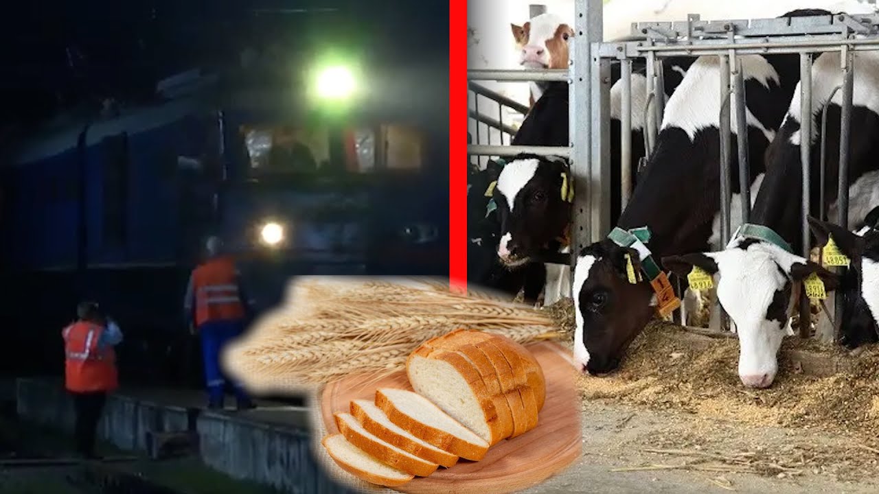 Գնացք-մնացք