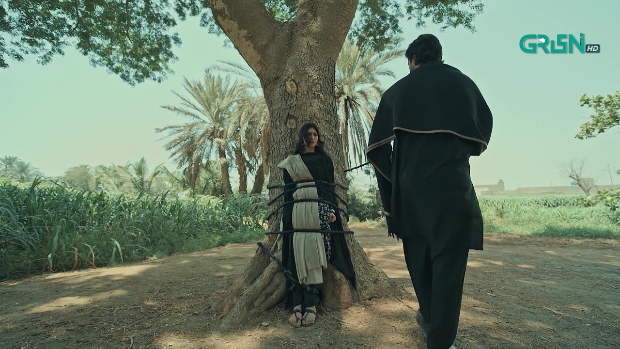 Mujhe Jane Do Mere Baba Mere Beghair Mar Jayenge | Hina Afridi - Zaviyar Nauman - Imran Ashraf |