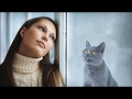 Adult Swim Meow Meow April Fools 2013 Bumps