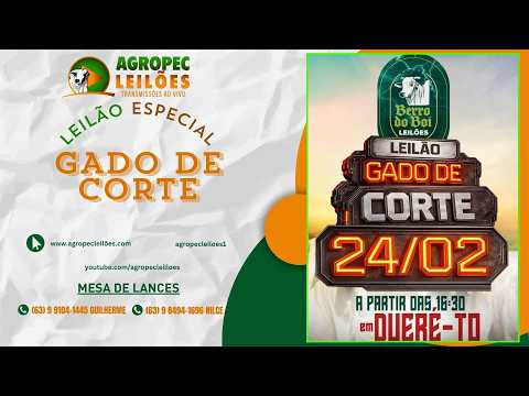agropecleiloes.com - LEILÃO GADO DE CORTE | BERRO DO BOI LEILÕES - DUERÉ -TO 124/02/2026