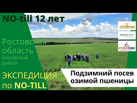 Подзимний посев озимой пшеницы. Вылечили овраг. Экспедиция по NO-till