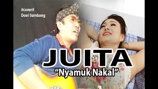 Download lagu cover lagu doel sumbang # JUITA # Nyamuk nakal _ Nana sas mp3