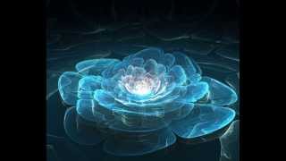 Cover art for Bloom radio edit