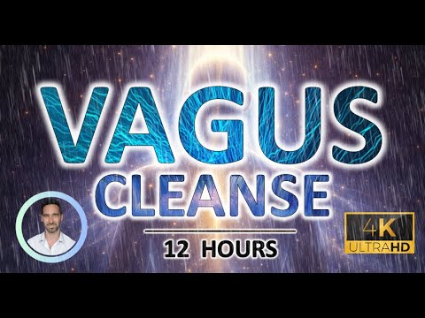 Therapeutic Vagus Nerve Sleep Therapy | New Year Anxiety Relief | Gentle Vagal Reset | 12 Hours
