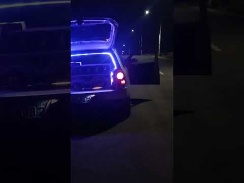 PIRANHA AVENTUREIRA - GOSTA QUE PEGA BOLADO #deboxe #shorts #funk #funkbrasil #taramps #jbl #unlike